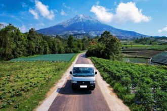 Suzuki Indomobil Sales