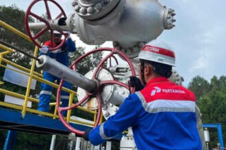 PT Pertamina Geotherimal Energy Tbk