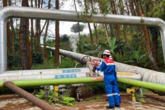 Pertamina Geothermal Energy