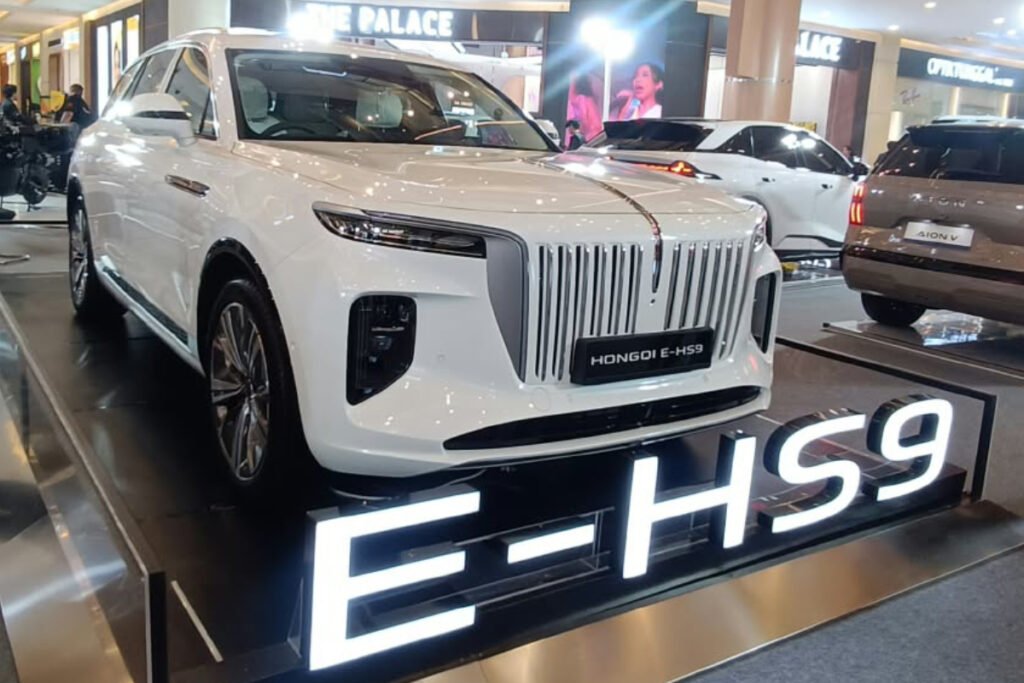 Hongqi E-HS9
