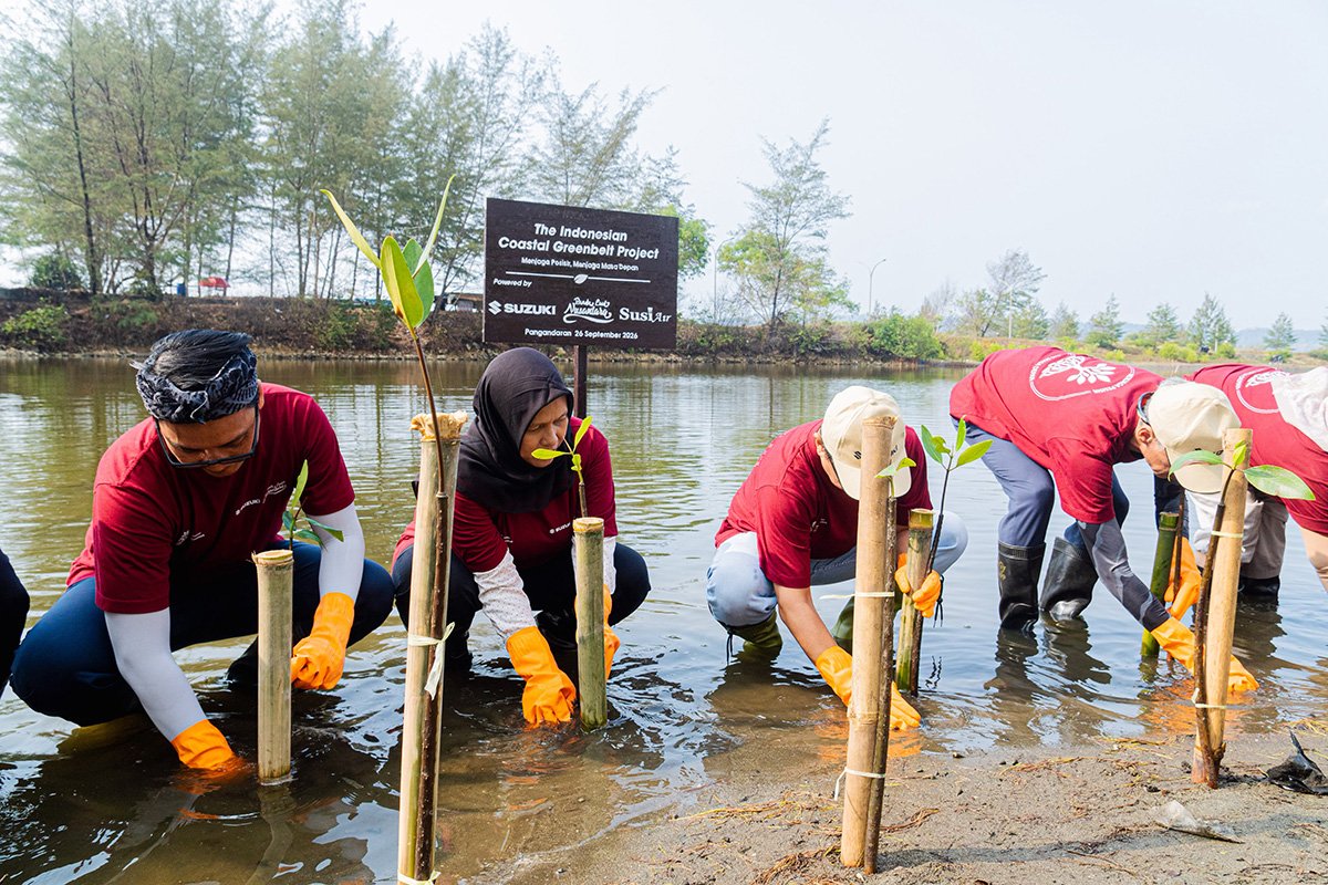 Suzuki tanam mangrove